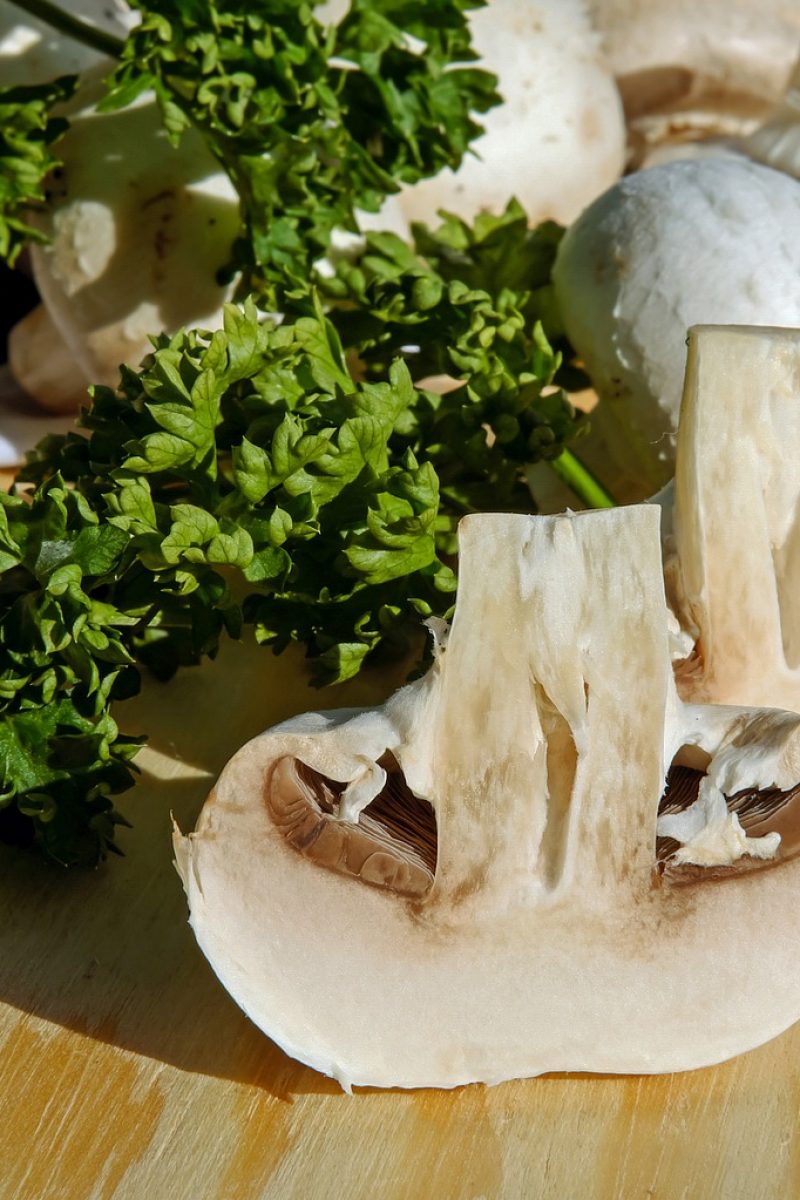 mushrooms, white mushroom, edible-3199448.jpg
